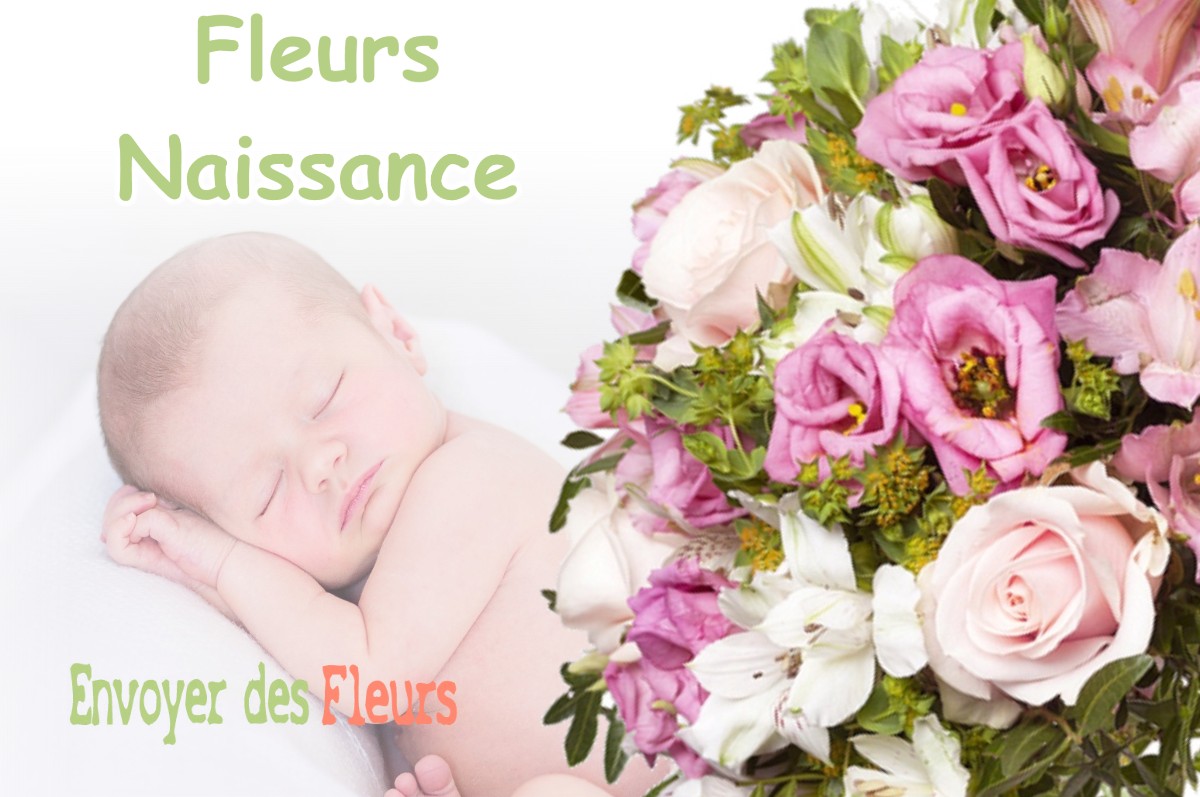 lIVRAISON FLEURS NAISSANCE à CASTANDET